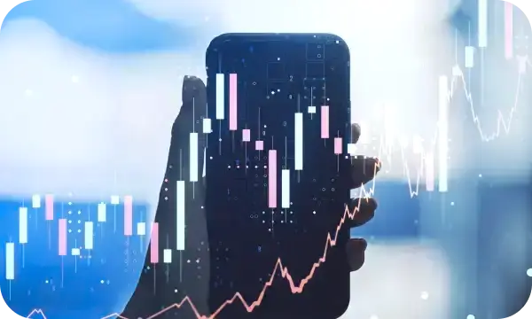 Palme Capitelle trading en ligne